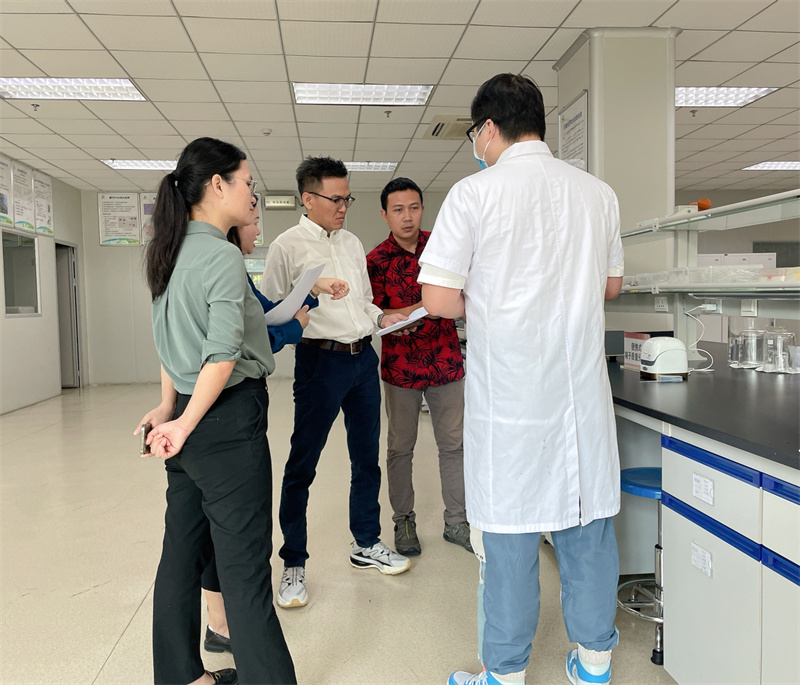 开云体云app官网入口