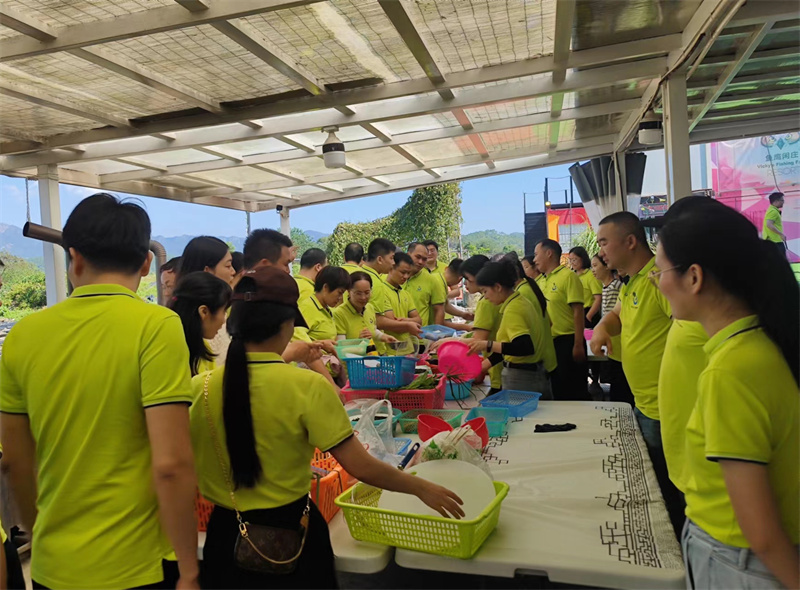 开云体云app官网入口