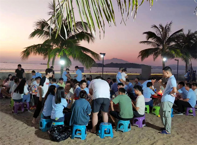 开云体云app官网入口