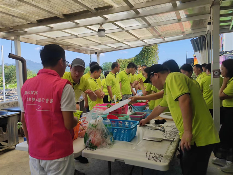 开云体云app官网入口