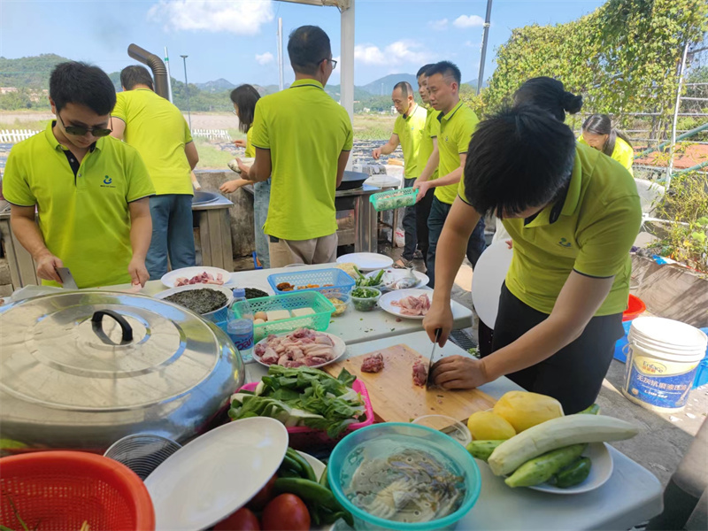 开云体云app官网入口