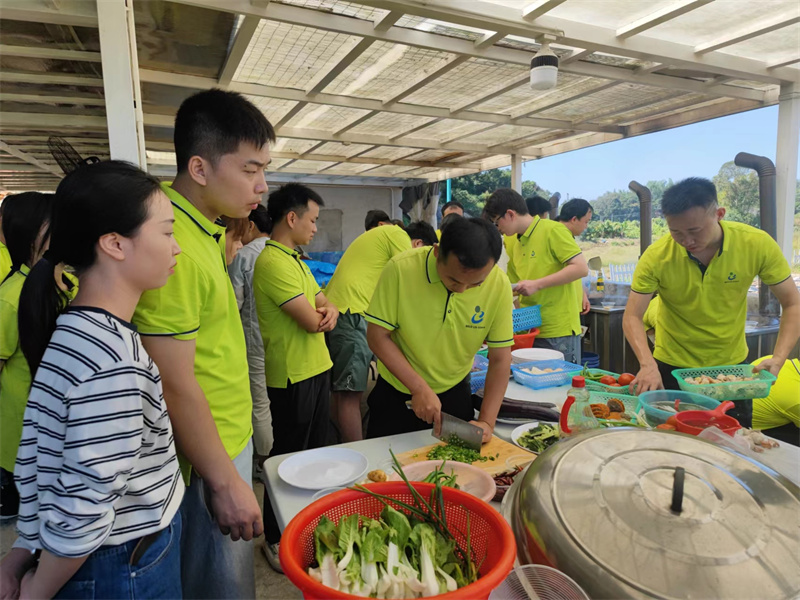 开云体云app官网入口