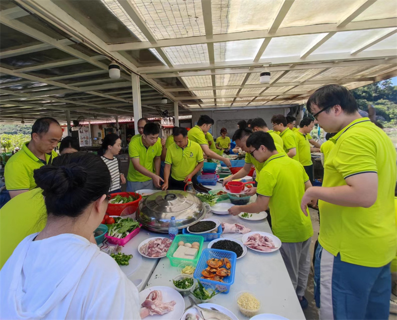 开云体云app官网入口