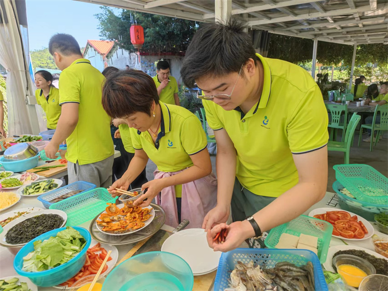 开云体云app官网入口