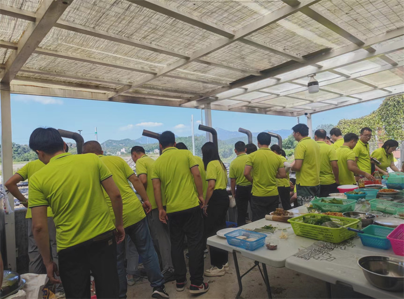 开云体云app官网入口