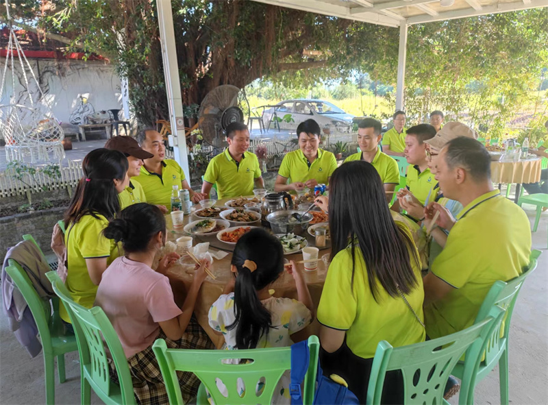 开云体云app官网入口