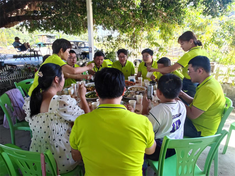 开云体云app官网入口