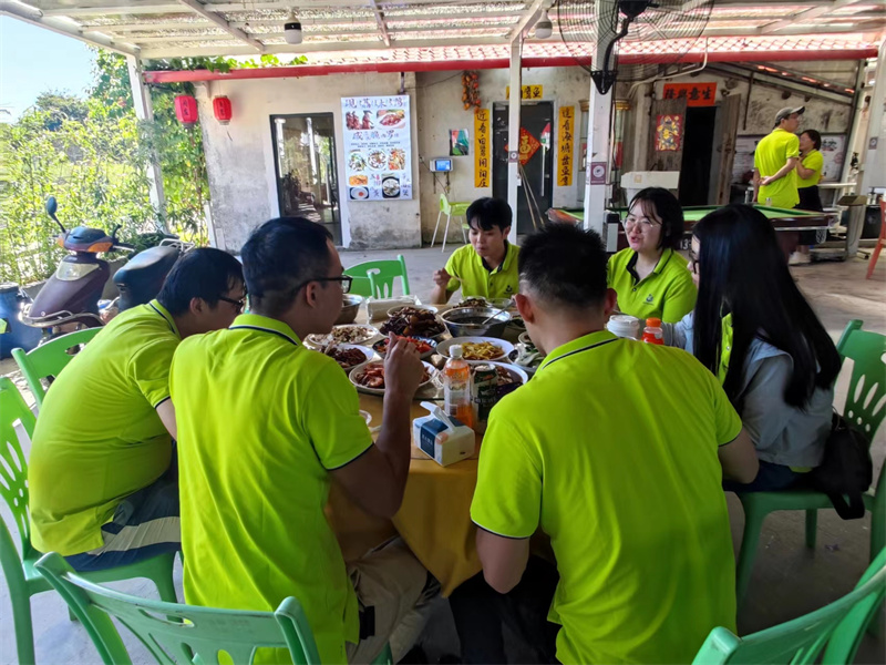 开云体云app官网入口