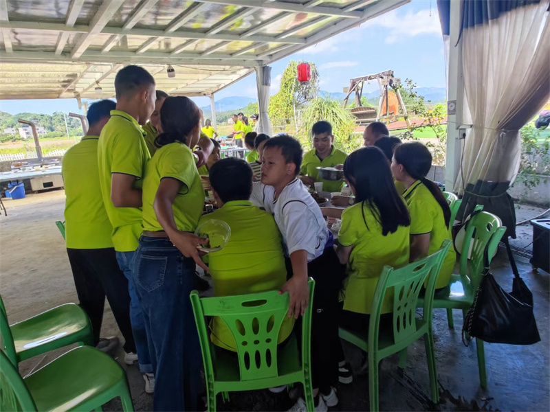 开云体云app官网入口