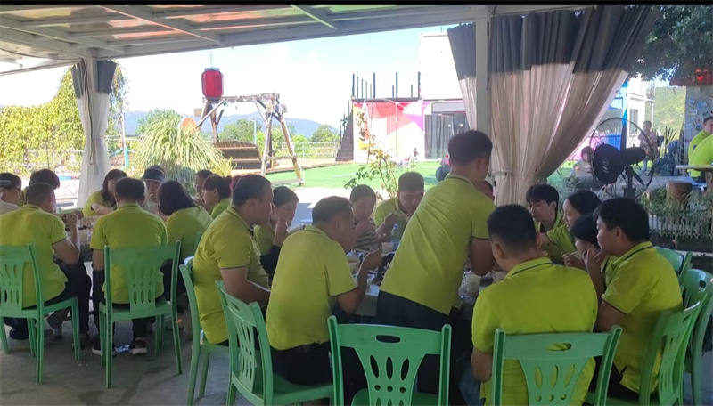 开云体云app官网入口