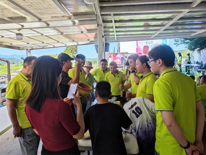 开云体云app官网入口