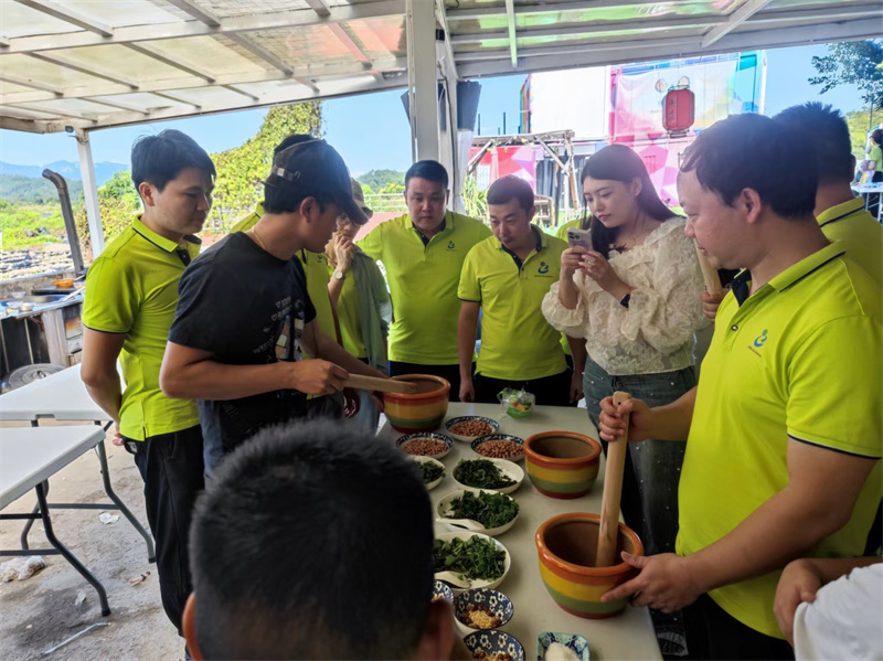 开云体云app官网入口