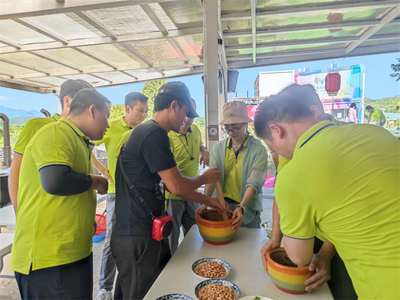 开云体云app官网入口