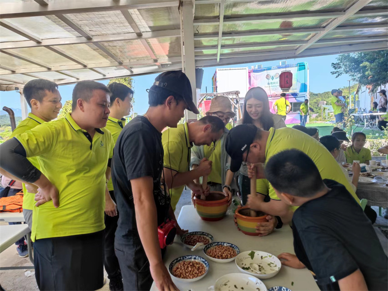 开云体云app官网入口