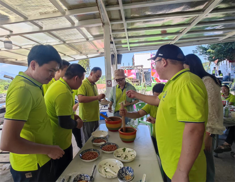 开云体云app官网入口