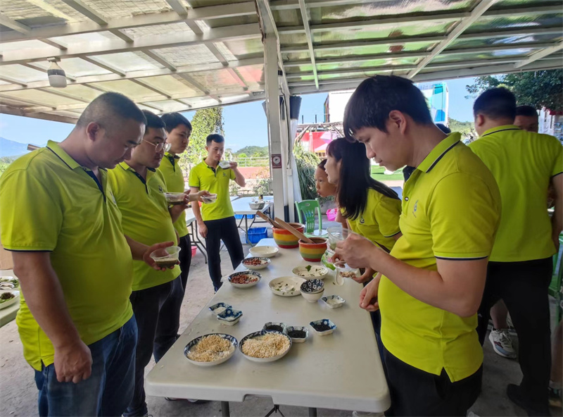 开云体云app官网入口