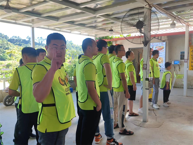 开云体云app官网入口