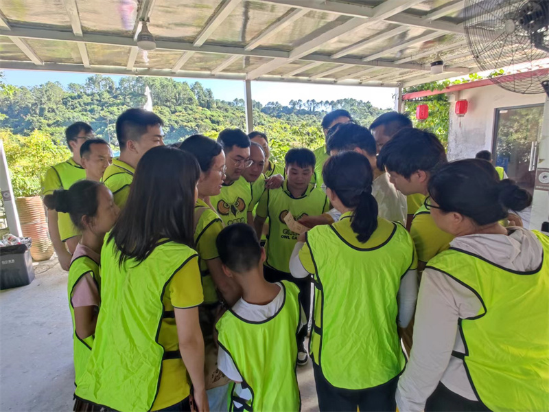 开云体云app官网入口