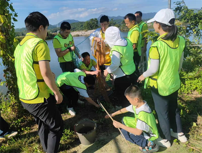 开云体云app官网入口