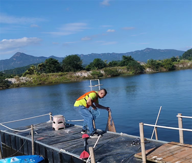 开云体云app官网入口