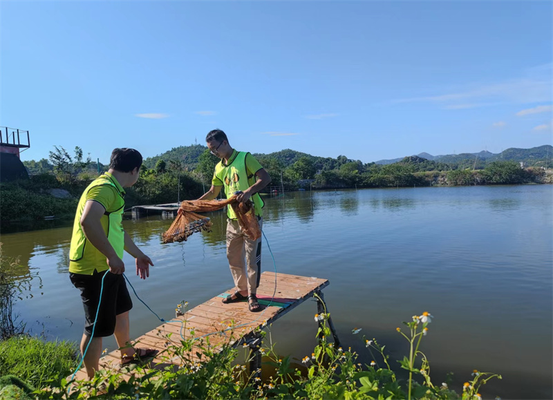 开云体云app官网入口