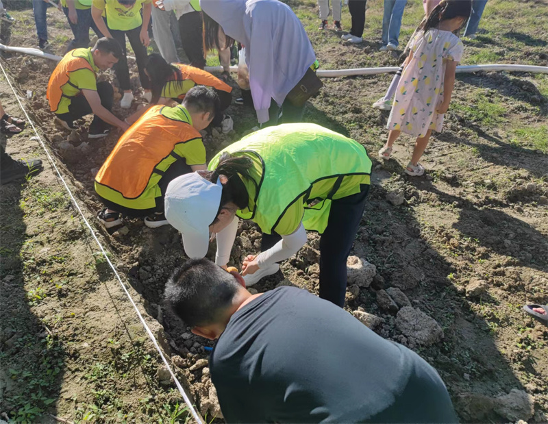 开云体云app官网入口