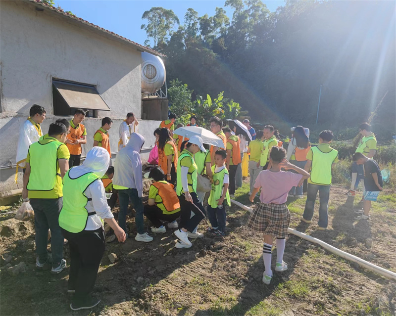 开云体云app官网入口