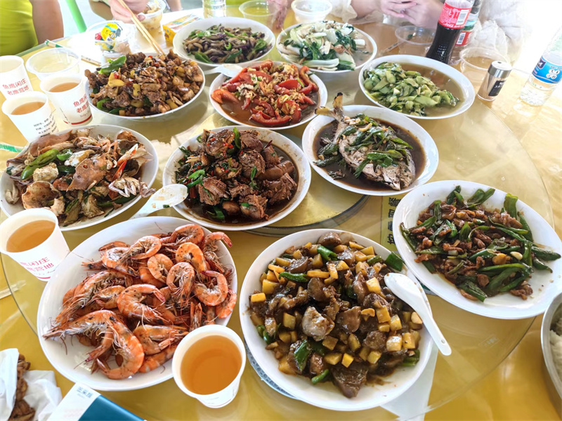 开云体云app官网入口