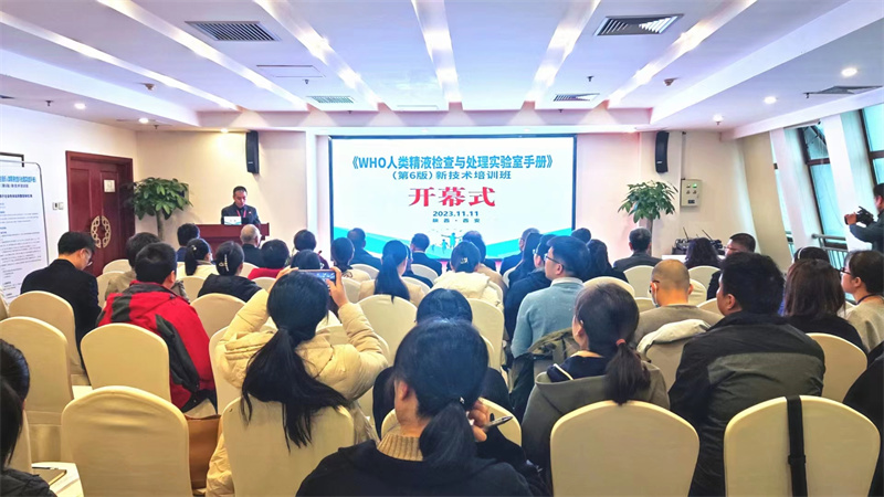 开云体云app官网入口