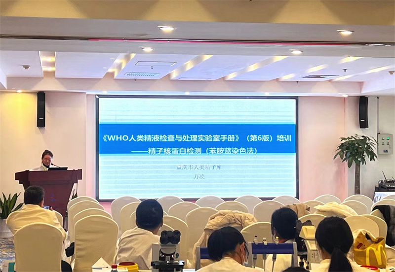 开云体云app官网入口