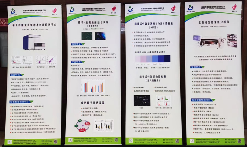 开云体云app官网入口
