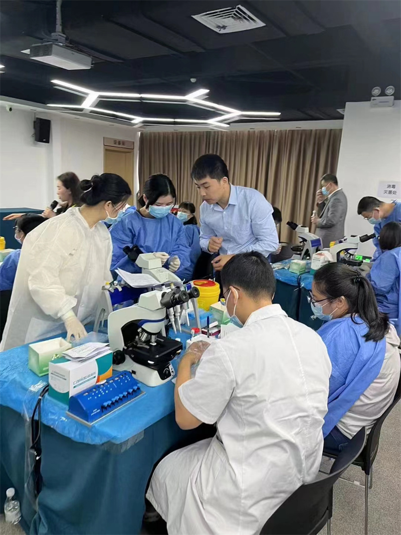 开云体云app官网入口