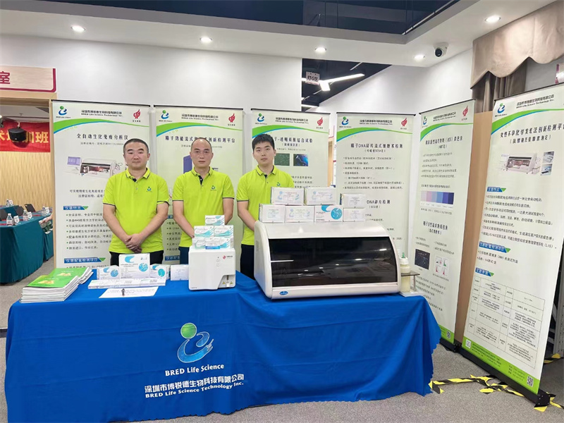 开云体云app官网入口