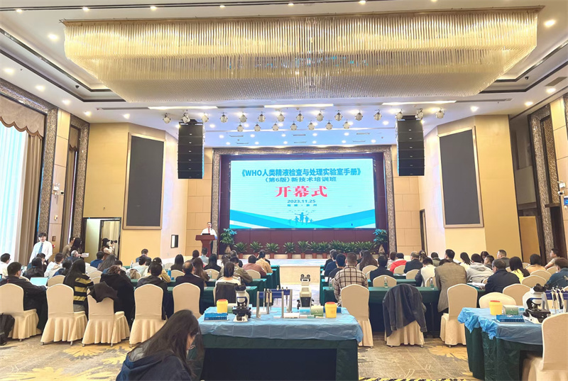 开云体云app官网入口