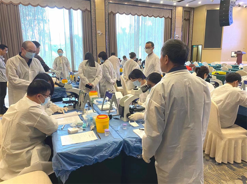 开云体云app官网入口