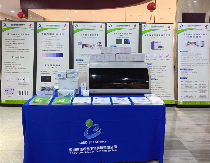 开云体云app官网入口