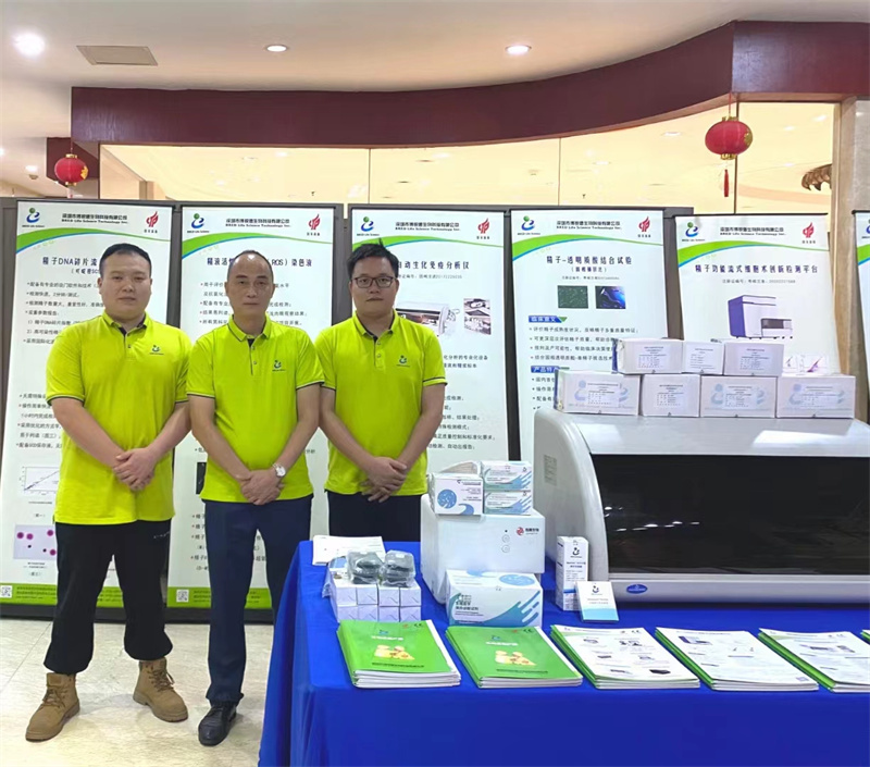 开云体云app官网入口