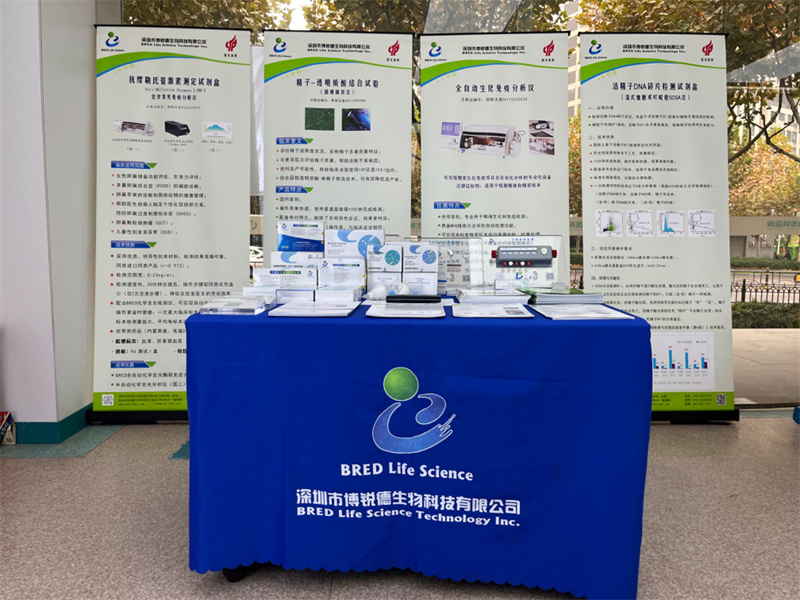 开云体云app官网入口