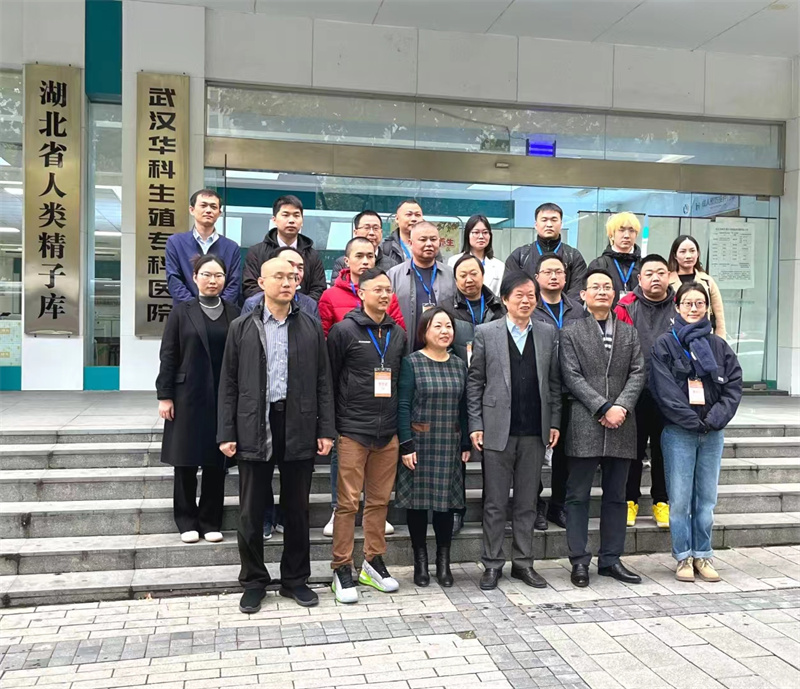 开云体云app官网入口