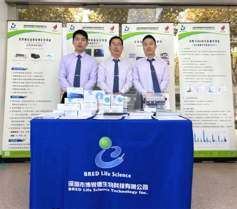 开云体云app官网入口