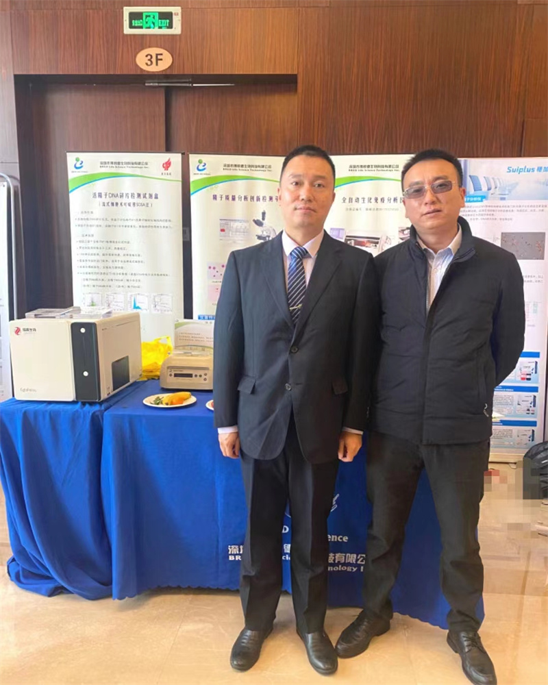 开云体云app官网入口