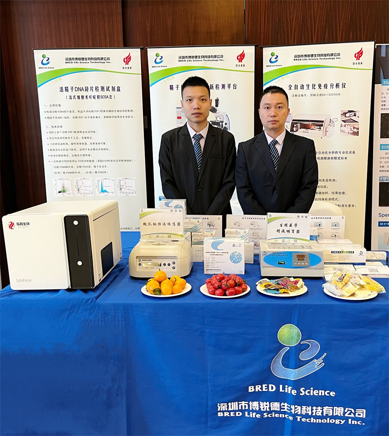 开云体云app官网入口