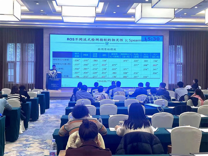 开云体云app官网入口