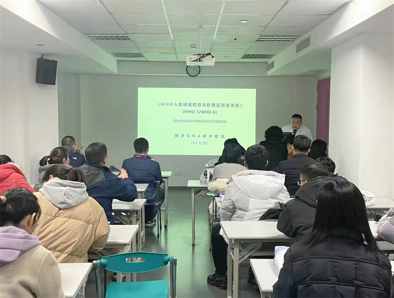 开云体云app官网入口