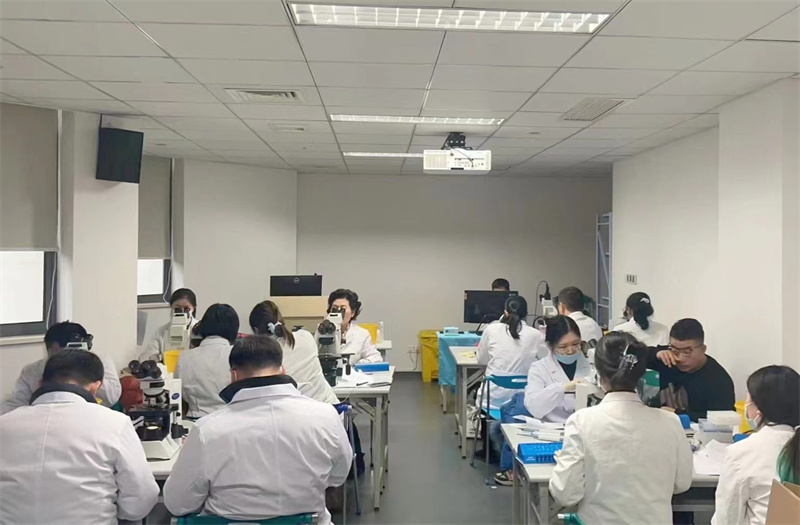 开云体云app官网入口