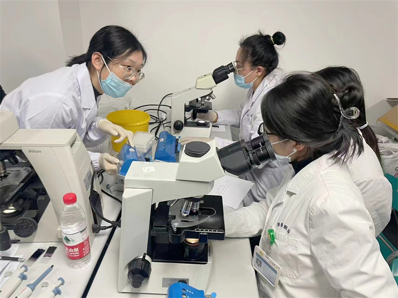 开云体云app官网入口