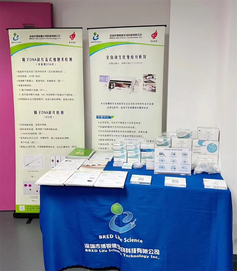 开云体云app官网入口