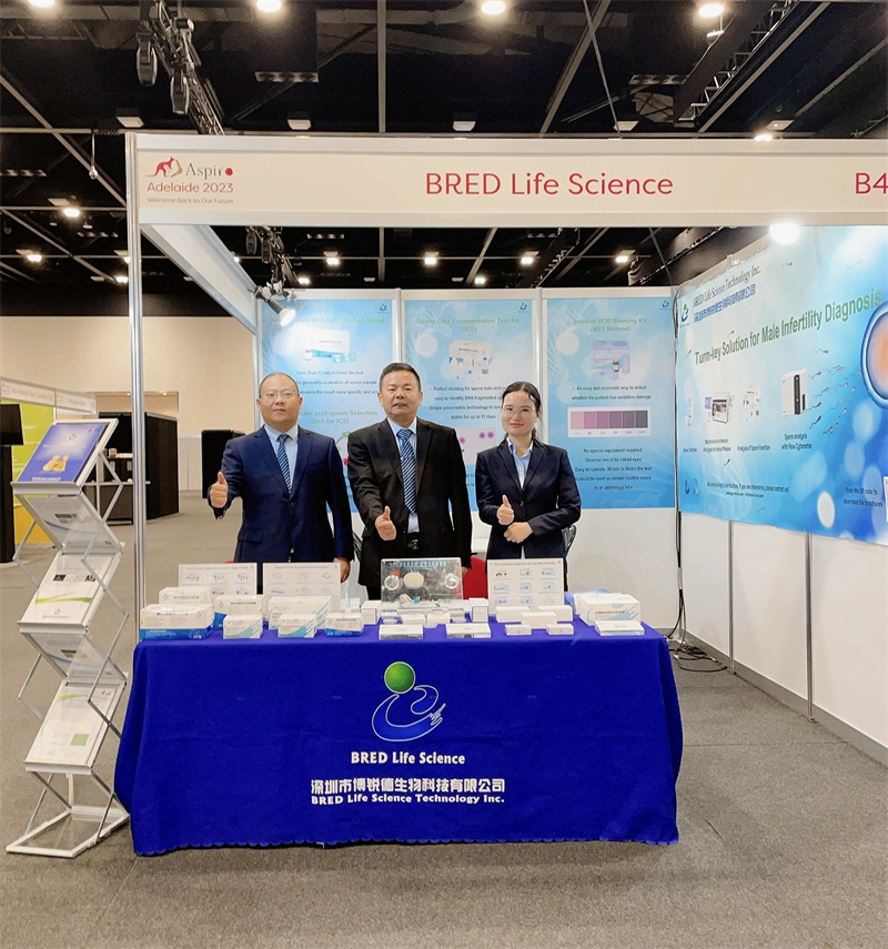 开云体云app官网入口