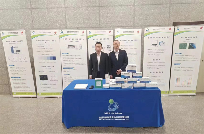 开云体云app官网入口