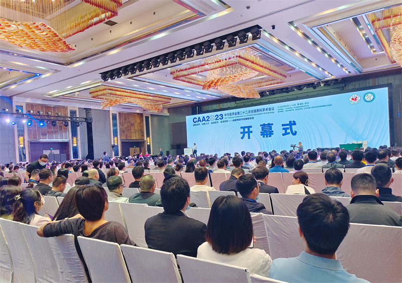 开云体云app官网入口